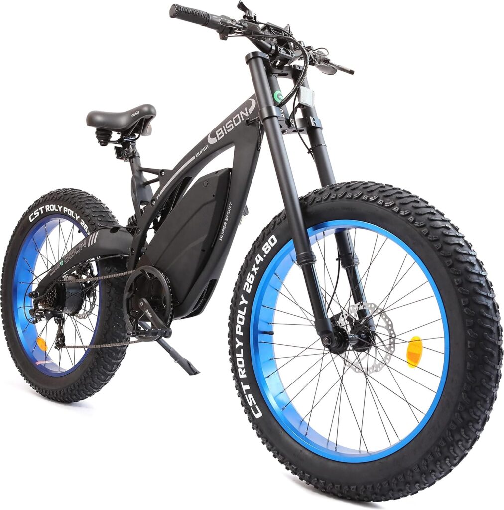 ECOTRIC Powerful Fat Tire Electric Bike