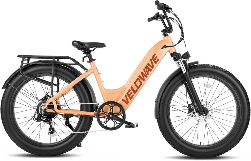 VELOWAVE 750W Fat Tire Electric Bike