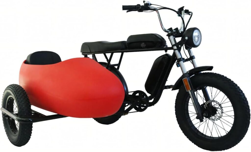 RZZLGY Sidecar Electric Motorcycle