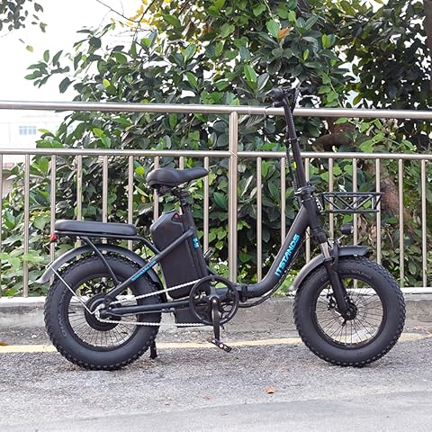 WINWINSUPPLEMENTS 1000W Ebike with Sidecar