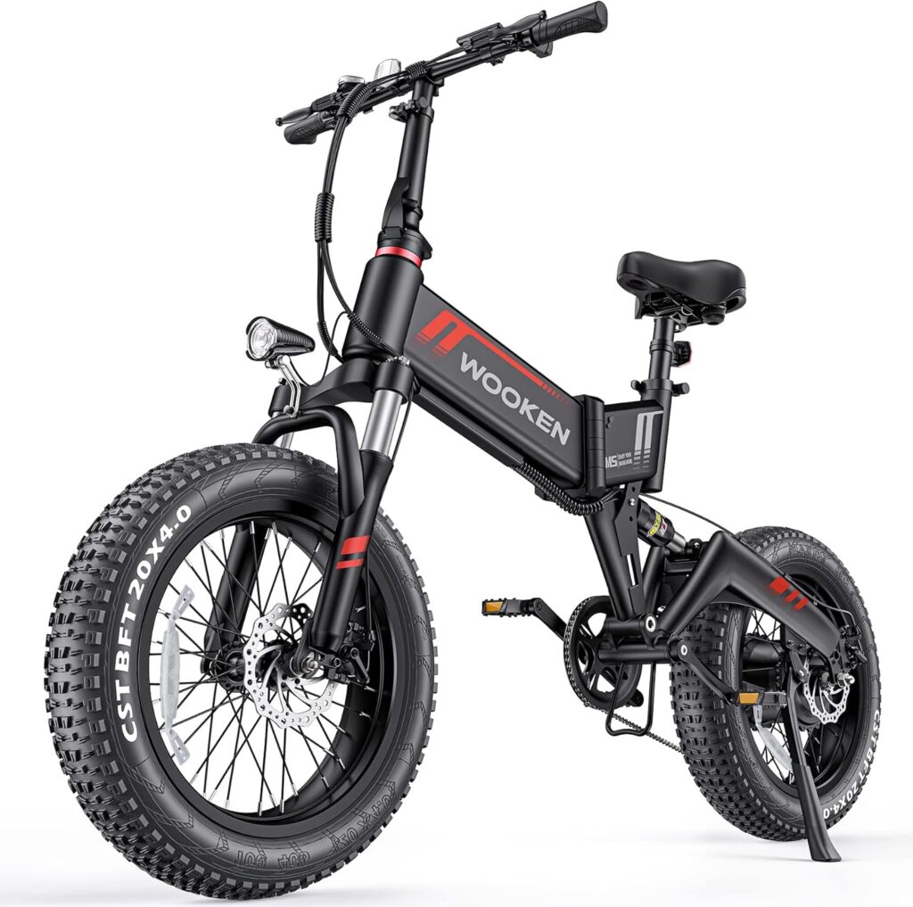 Wooken Electric Bike