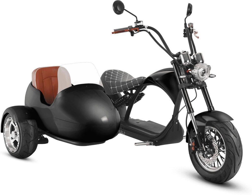 eAhora M1P Sidecar Electric Motorcycle